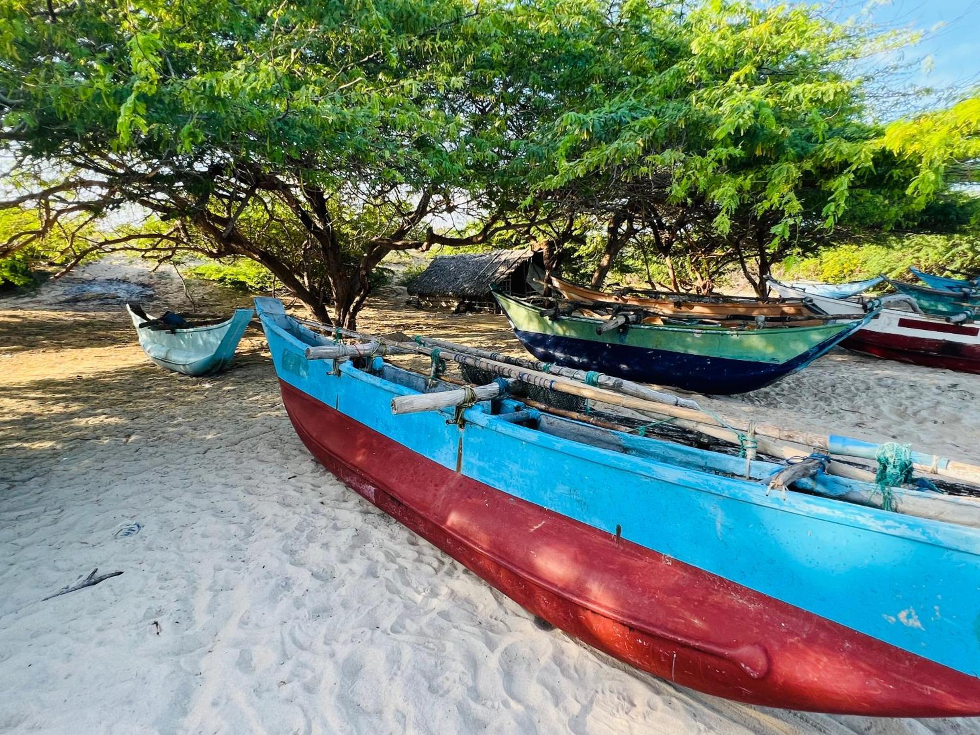 Kingfisher Beach Resort-Yala Kirinda  Εξωτερικό φωτογραφία